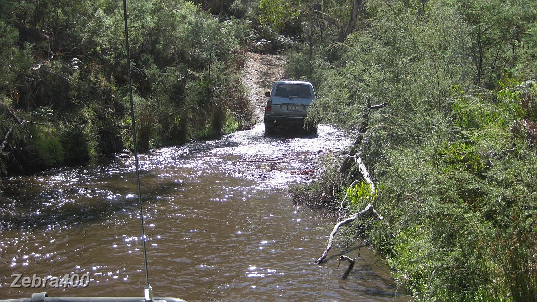 10-Frosty crosses the Bonang River on their way to Mt Tingaringy.JPG